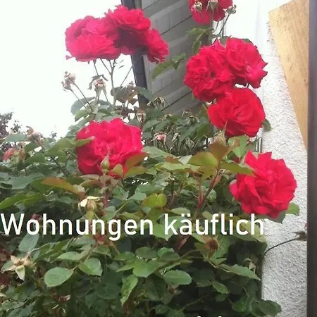 Kellerhof Guesthouse: Garden Retreat With Rooftop Terrace Apartment *
